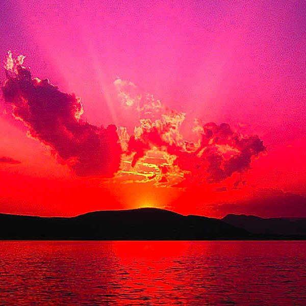 Narla is registered to the contest to win money with this photo: