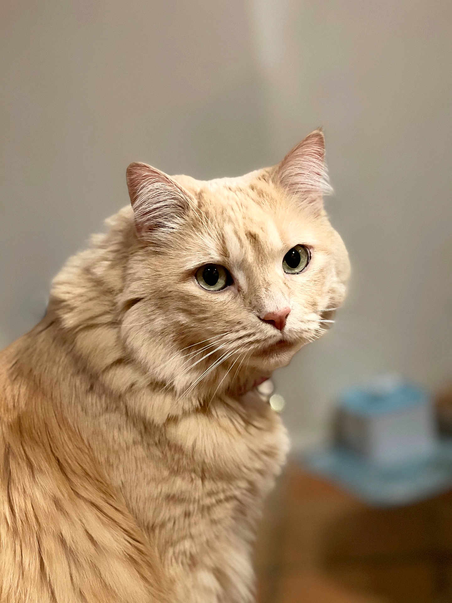 Cinnamon