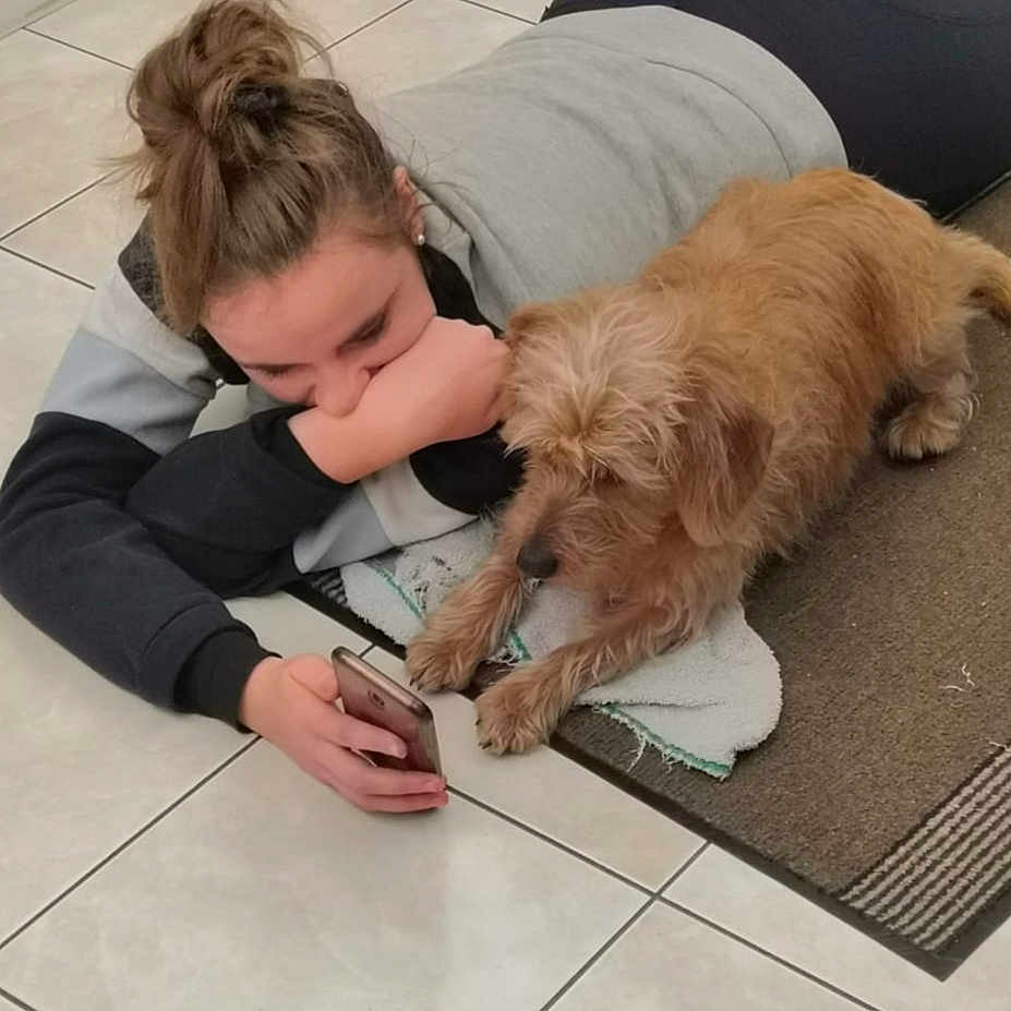 Ollie a rejoint le concours — aidez-le/la à gagner de superbes lots ! animal, boy, canine, child, dog, dogbed, electronics, face, fitness, head, male, mobilephone, person, pet, phone, pilates, puppy, sad, sitting, sleeping