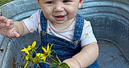 Mavis is registered to the contest to win money with this photo: baby, child, toddler, smiling, portrait, outdoor, garden, grass, flowers, yellow_flowers, flower_hair_accessory, denim_overalls, pink_shirt, metal_tub, sitting, bouquet, backyard, greenery, sunlight, happy