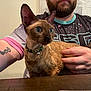 beard, bell, blue_eyes, cat, closeup, collar, curious, ear, face, feline, fur, hand, holding, indoor, person, pet, resting, shirt, table, tattoo