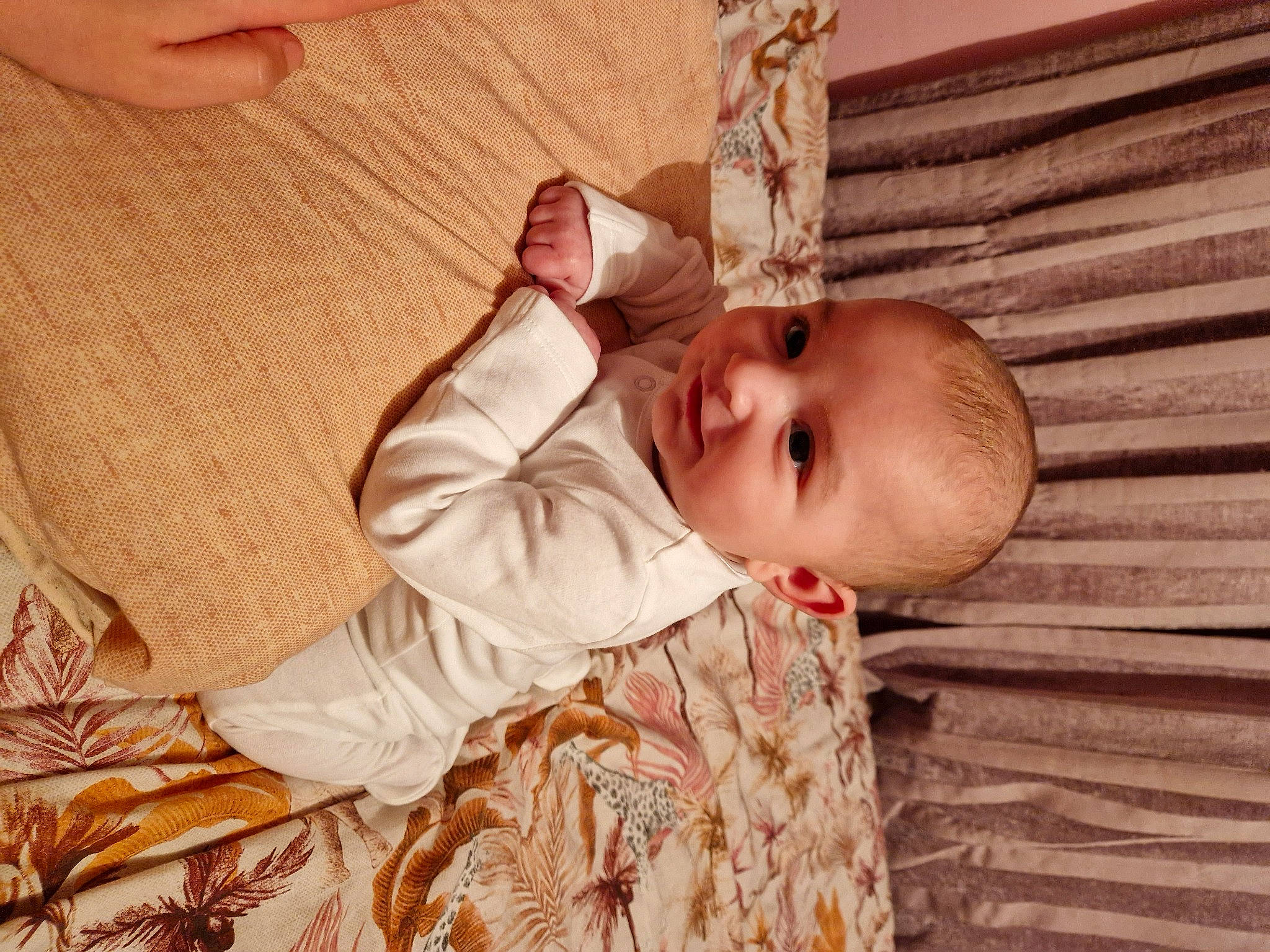 Harrison is registered to the contest to win money with this photo: baby, baby_products, baby_toddler_clothing, cheek, child, comfort, eye, gesture, happy, hardwood, head, nose, pattern, person, sitting, skin, sleeve, smile, toddler, window