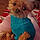 Josie