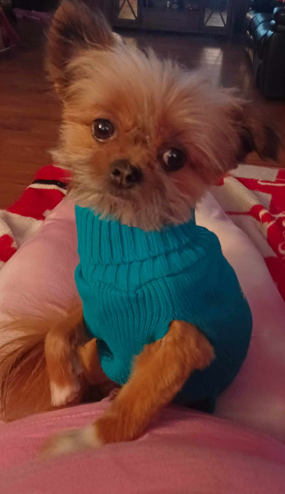 Josie