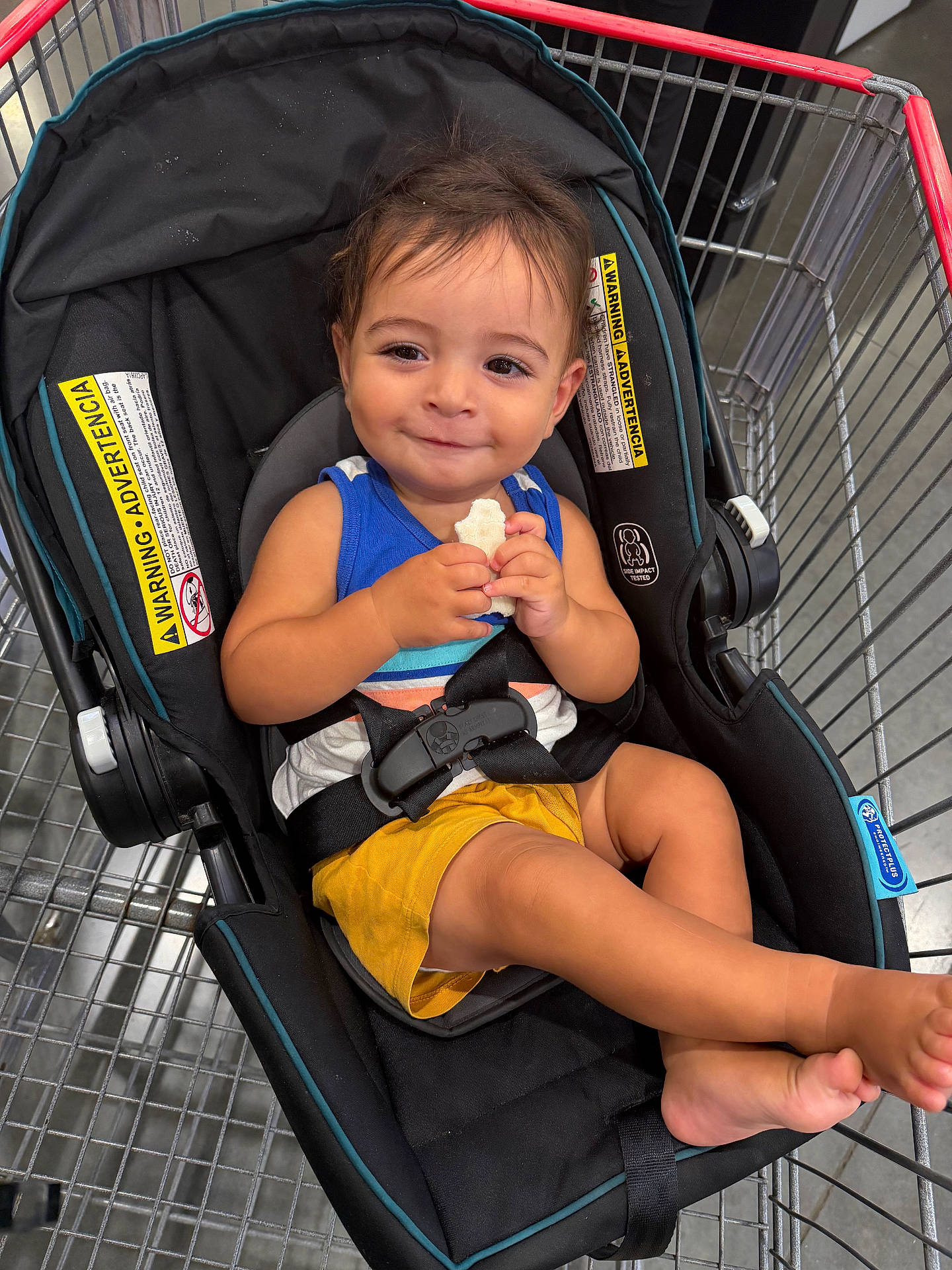 Jason is registered to the contest to win money with this photo: baby, blue_shirt, car_seat, child, facial_expression, food, grocery_store, happy, indoors, metal_cart, photograph, portrait, safety_harness, seated, shopping, shopping_cart, smiling, snack, toddler, yellow_shorts