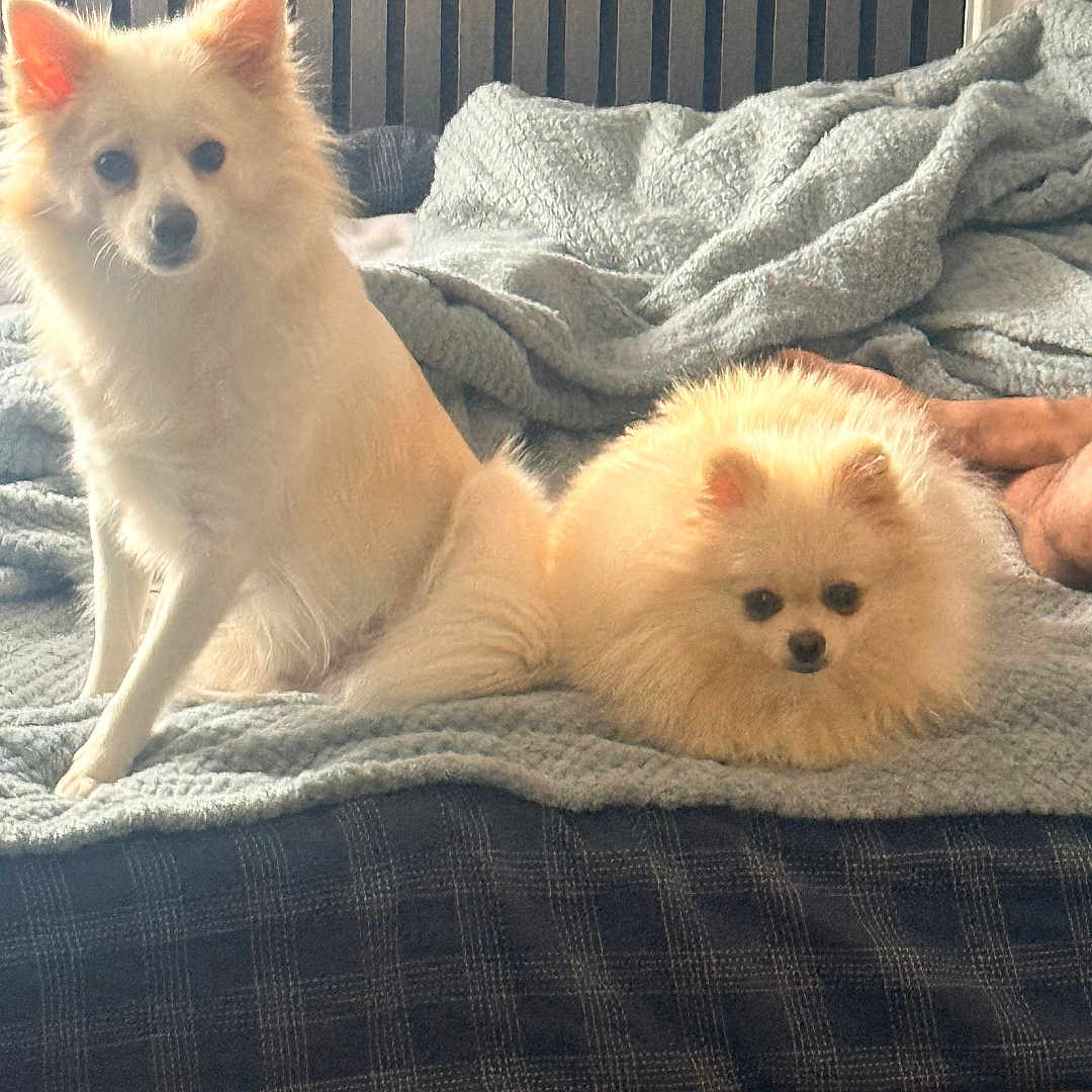 Naia Et Luna