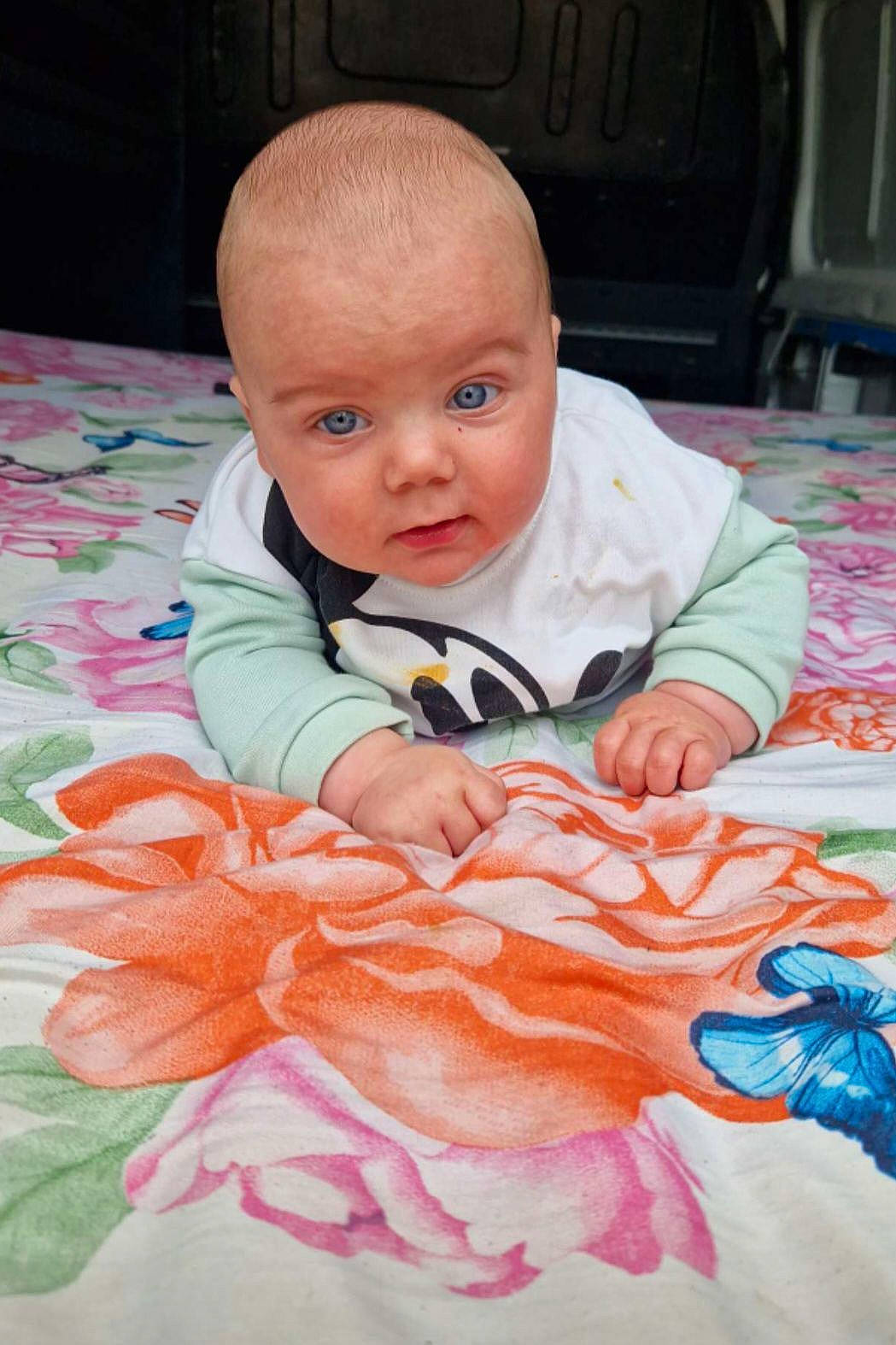 Ylandsson participe au concours pour gagner de l'argent avec cette photo : baby, baby_toddler_clothing, cheek, child, comfort, eye, flooring, fun, grass, happy, linens, magenta, pattern, person, petal, pink, product, room, sitting, toddler