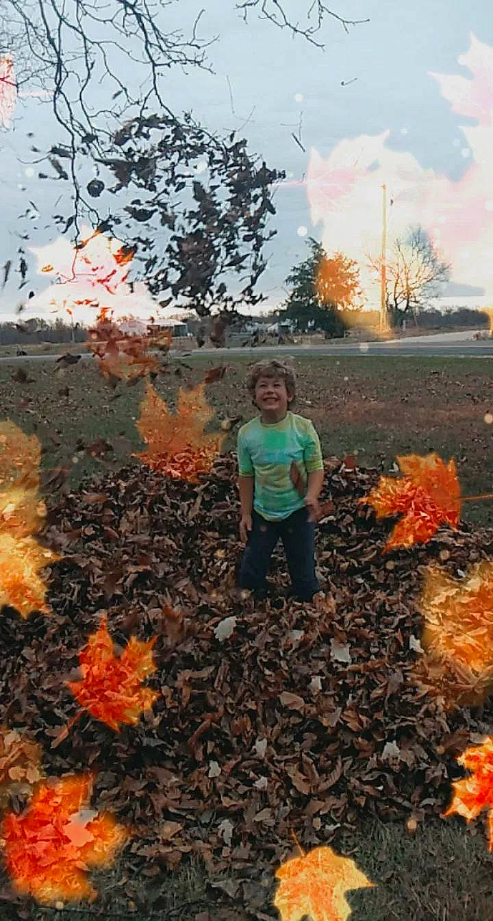 Trace joined the competition — help win amazing prizes! adaptation, asphalt, beauty, biome, botany, deciduous, grass, happy, joy, landscape, nature, orange, people, people_in_nature, person, plant, sky, soil, tree, wilderness