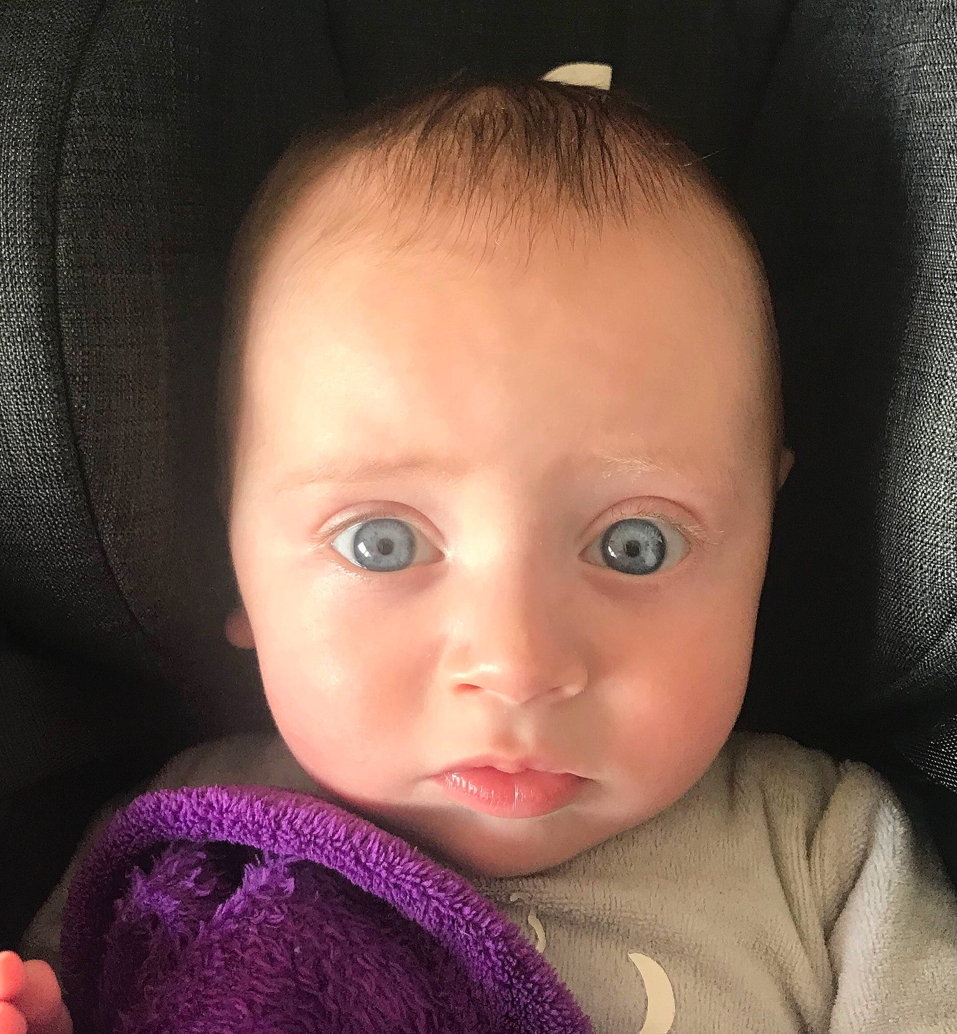 Arthur participe au concours pour gagner de l'argent avec cette photo : baby, beauty, black_hair, cheek, child, chin, close_up, eye, eyebrow, face, forehead, hair, head, iris, lip, mouth, nose, person, purple, skin