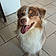 Arlo