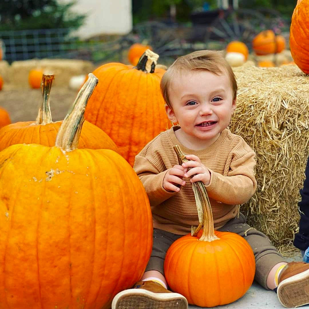 Forrest joined the competition — help win amazing prizes! calabaza, cucurbita, eye, facial_expression, gourd, happy, head, human_body, joy, local_food, natural_foods, orange, organ, person, photograph, plant, pumpkin, smile, squash, vegetable
