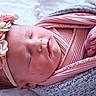 newborn, baby, sleeping, infant, headband, flowers, pink_cloth, blanket, wrapped, tiny_toes, peaceful, closeup, portrait, soft_light, skin, cute, resting, indoors, cozy, child