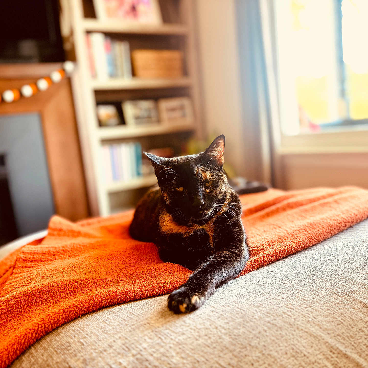 Pumpkin