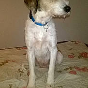 Choupette a rejoint le concours — aidez-le/la à gagner de superbes lots !