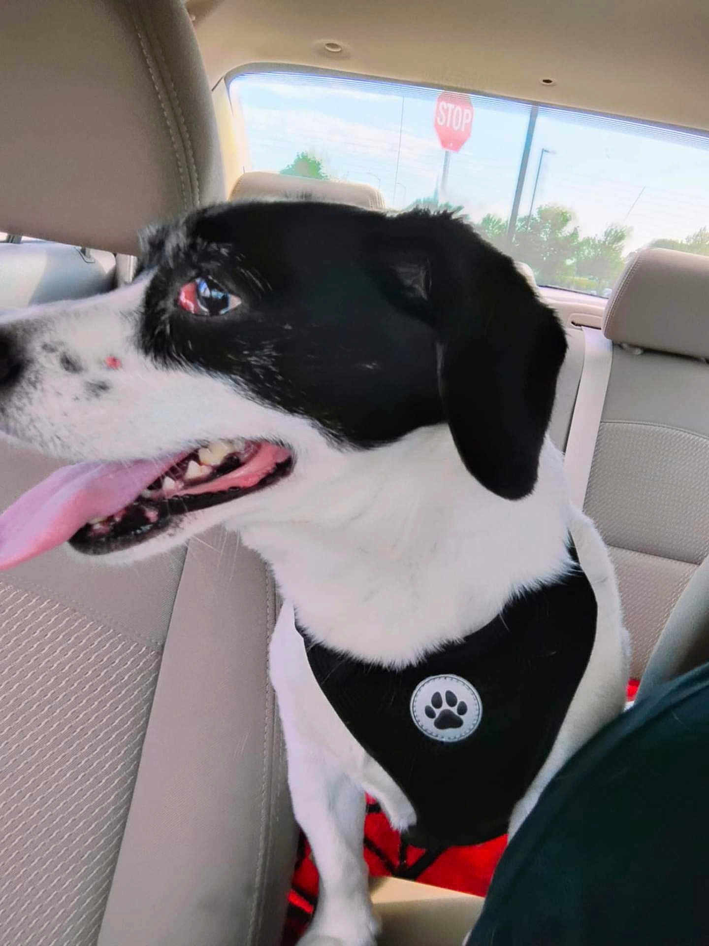 Max