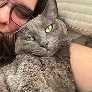 Frankie is registered to the contest to win money with this photo: cat, person, glasses, close_up, face, green_eyes, gray_fur, snuggling, bed, pillow, indoor, cozy, relaxed, cute, pet, companion, human, portrait, feline, comfort