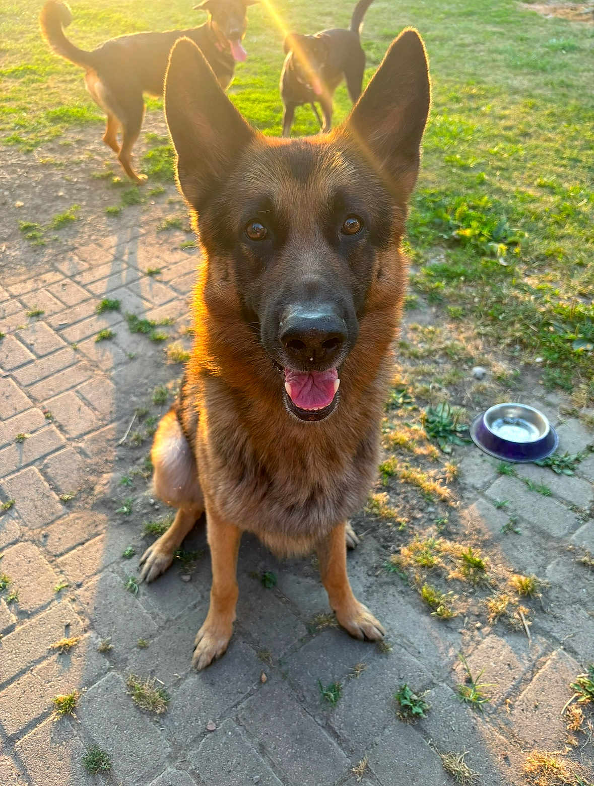 Jax