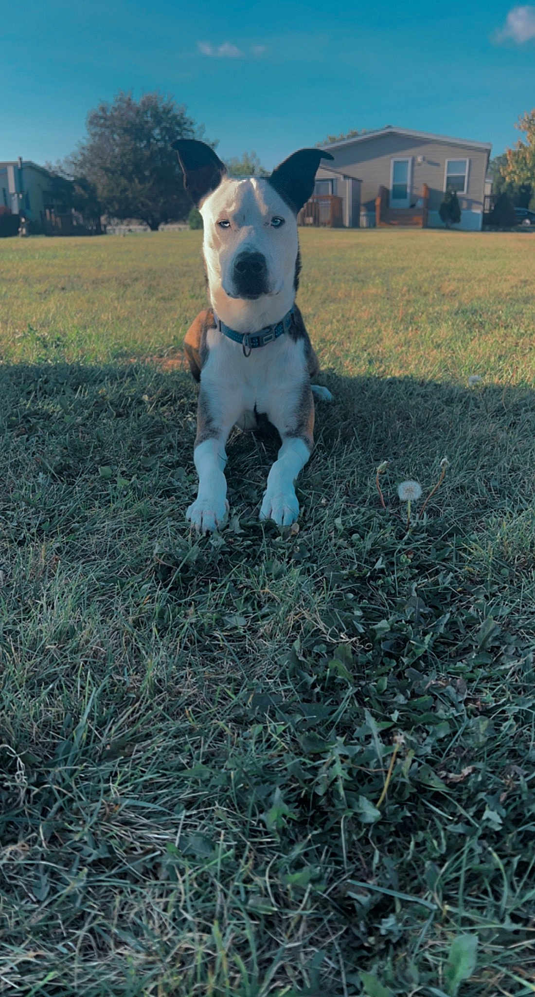 Zeus