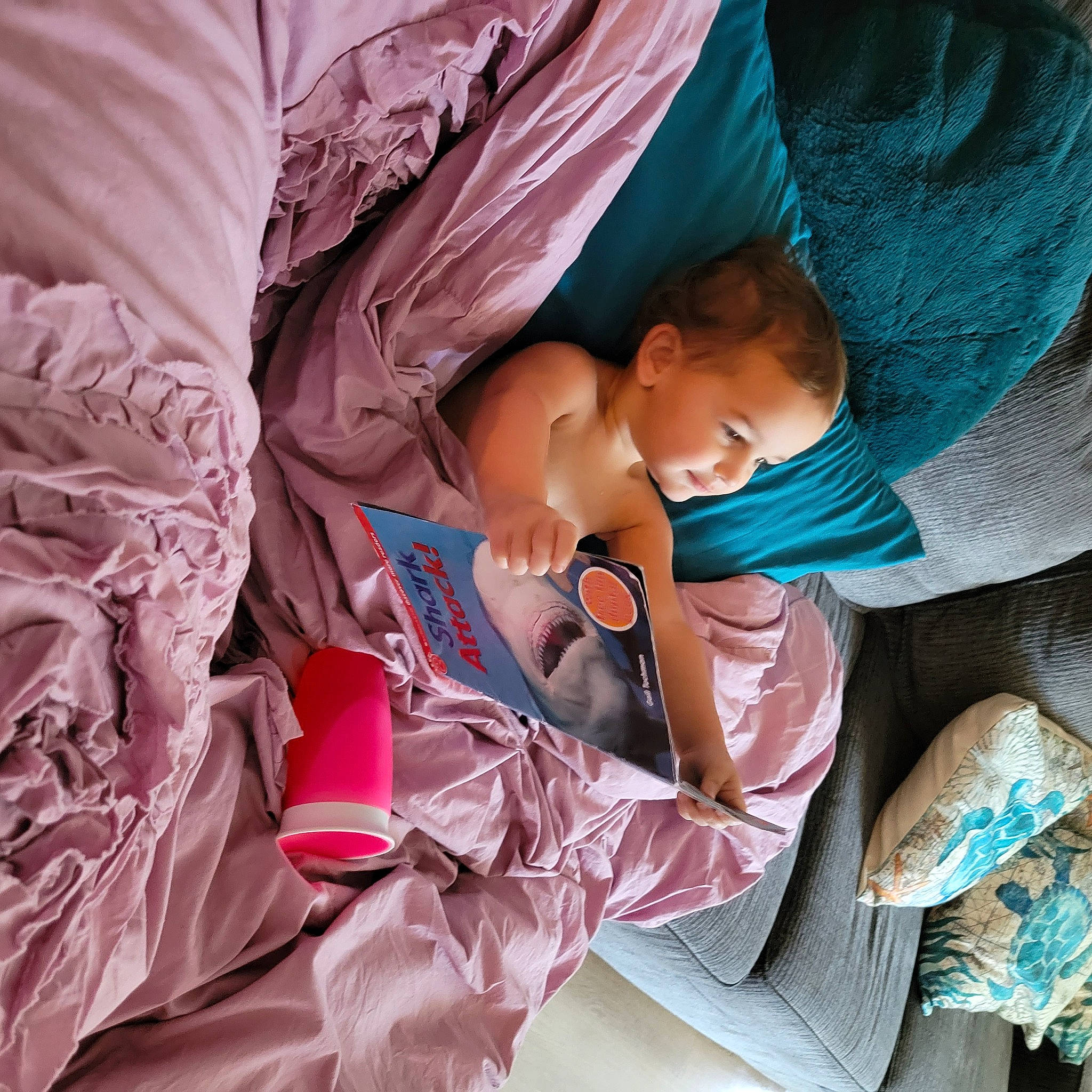 Addison joined the competition — help win amazing prizes! baby, baby_products, bedding, bedtime, child, comfort, event, human_body, linens, magenta, nail, nap, pattern, peach, person, pink, purple, room, skin, textile