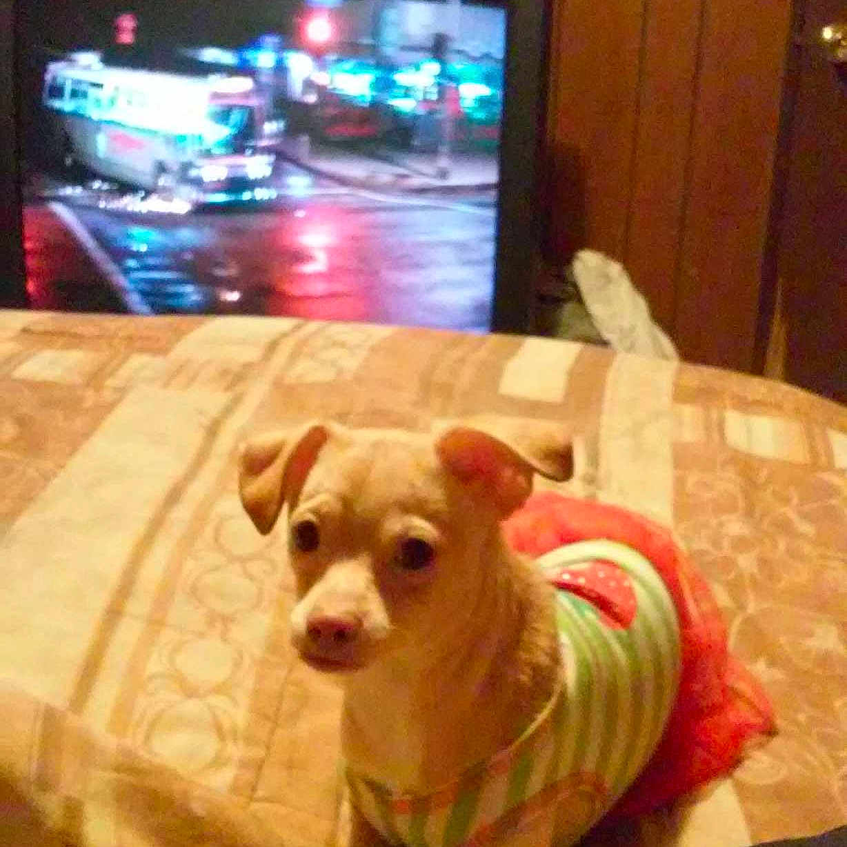 Sparkle joined the competition — help win amazing prizes!