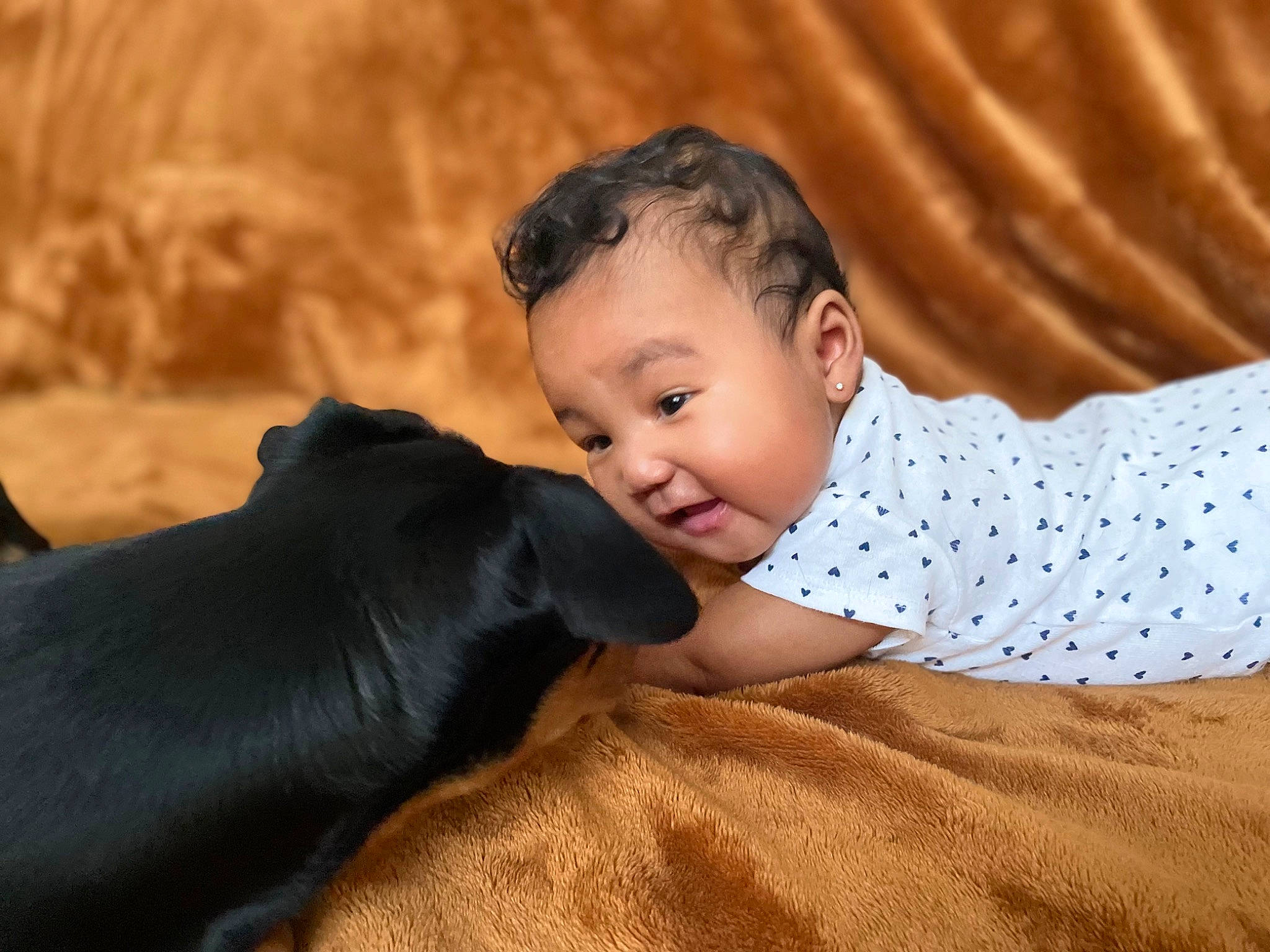 Jiana joined the competition — help win amazing prizes! baby, baby_toddler_clothing, child, comfort, companion_dog, dog_breed, flash_photography, fun, grass, happy, head, landscape, neck, person, sitting, skin, snout, sporting_group, toddler, tree