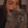 Stitch a rejoint le concours — aidez-le/la à gagner de superbes lots ! cat, person, portrait, selfie, fluffy_cat, gray_fur, long_hair, yellow_eyes, wide_eyes, indoor, dim_lighting, close_up, pet, animal, whiskers, ears, face, hair, dark_background, funny_expression