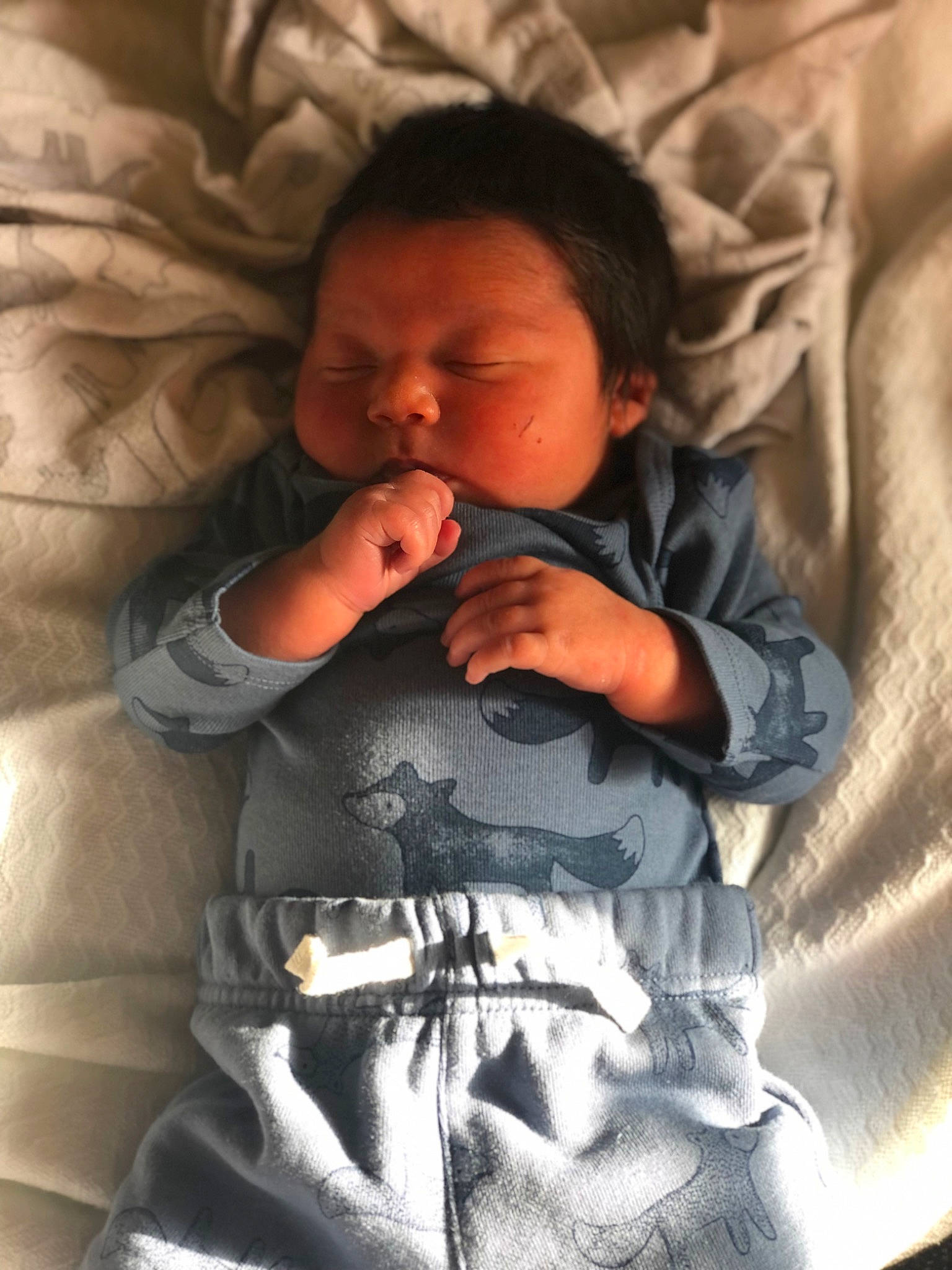 Kyaire is registered to the contest to win money with this photo: baby, baby_sleeping, baby_toddler_clothing, cheek, comfort, cool, face, facial_expression, gesture, hairstyle, happy, iris, linens, lip, mouth, nose, person, skin, sleeve, textile