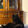 cat, black_cat, fluffy, long_hair, sitting, lying_down, pet, animal, whiskers, ears, eyes, paws, fur, bed, bedroom, wooden_cabinet, ornate_furniture, mirror, indoor, portrait