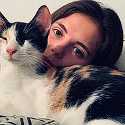 Nyele participe au concours pour gagner de l'argent avec cette photo : animal, blue_eyes, calico_cat, cat, close_up, companion, couch, cozy, cute, face, fur, home, indoor, person, pet, portrait, relaxed, resting, snuggle, whiskers
