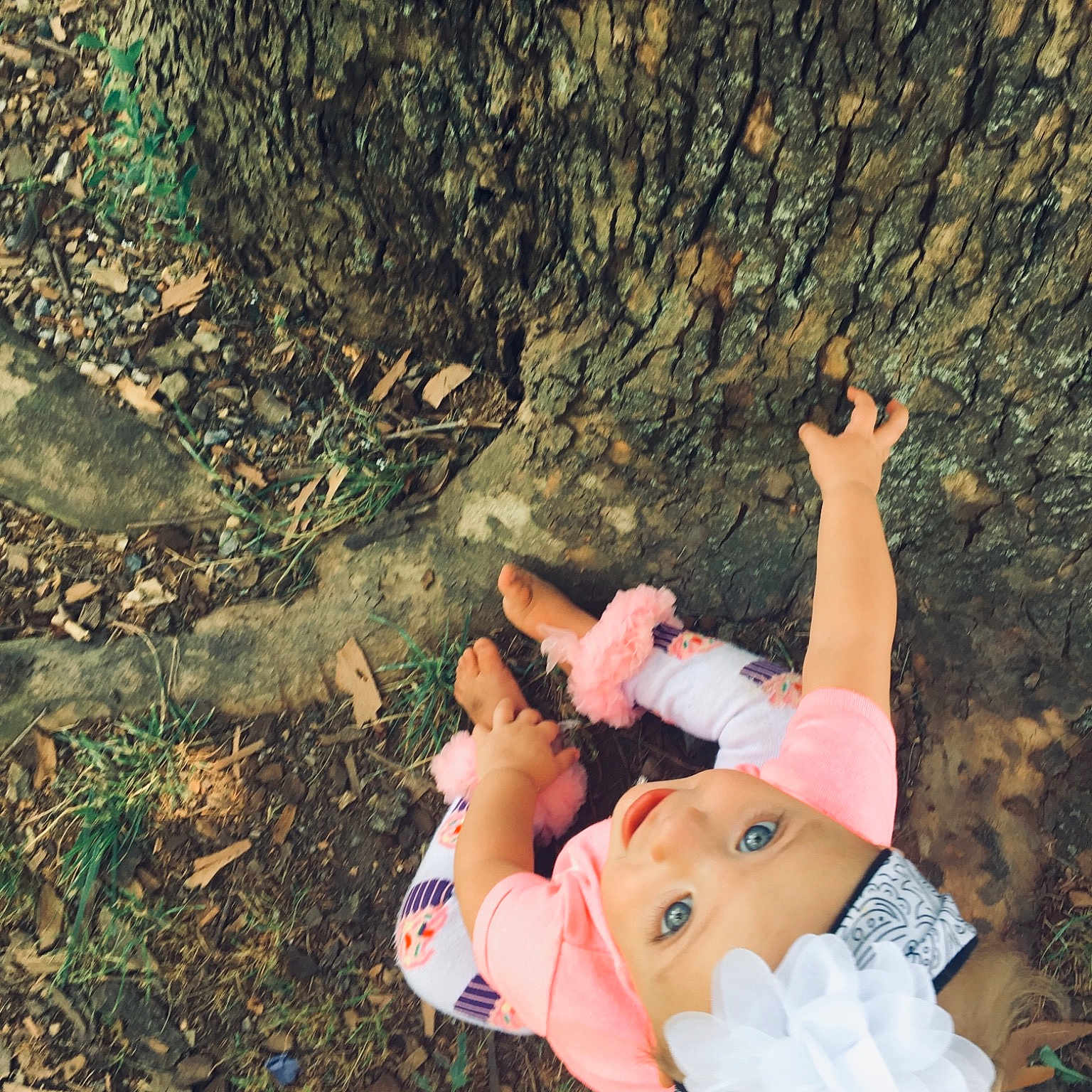 Oliviah is registered to the contest to win money with this photo: adventure, beauty, child, fun, grass, happy, leaf, leg, plant, recreation, smile, tree, vacation