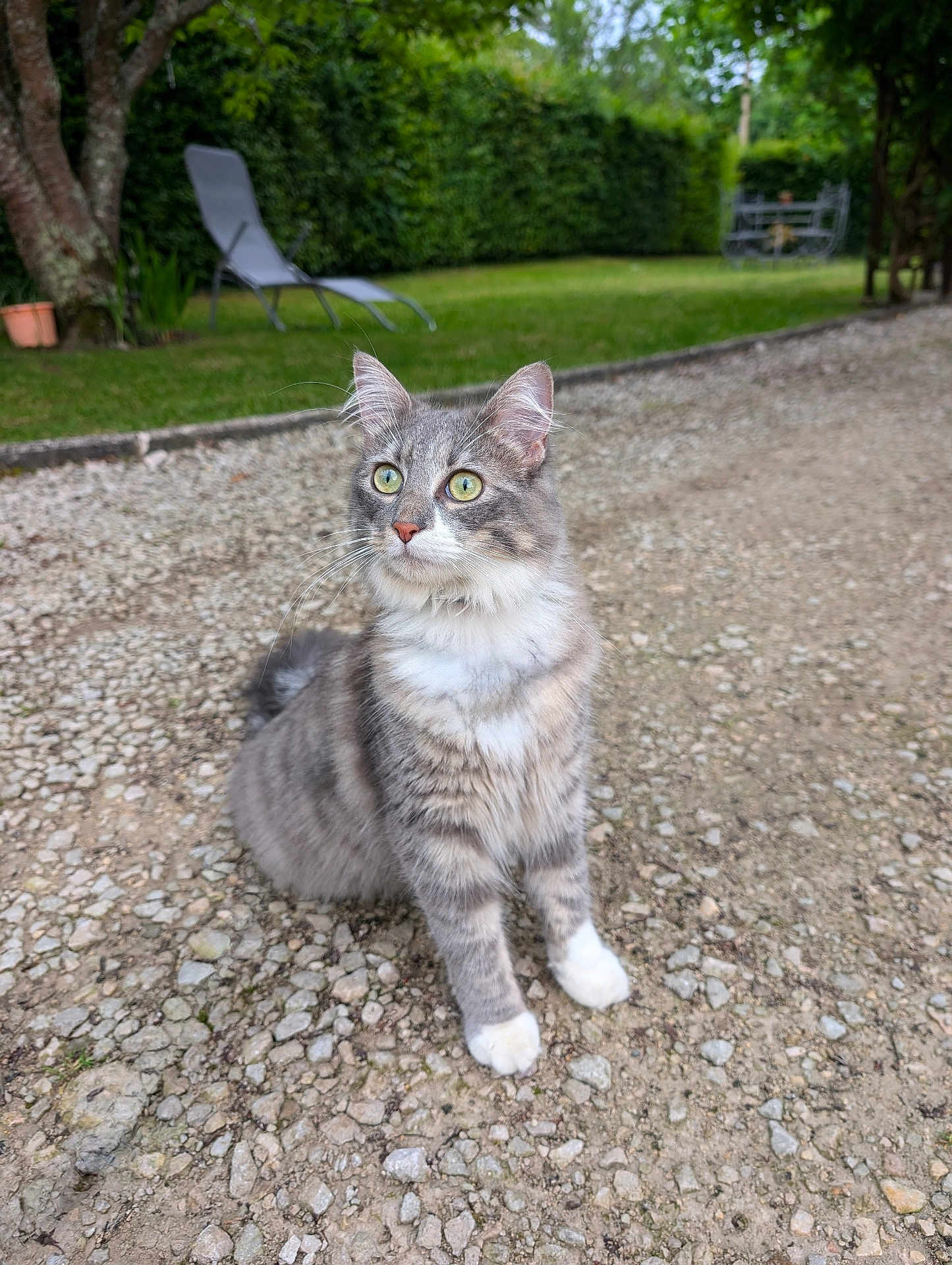 Gaspard