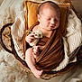 Maylon participe au concours pour gagner de l'argent avec cette photo : newborn, baby, sleeping, wrapped, brown_cloth, basket, blanket, plush_toy, sheep, infant, cute, peaceful, cozy, soft_texture, portrait, indoors, closeup, skin, head, foot