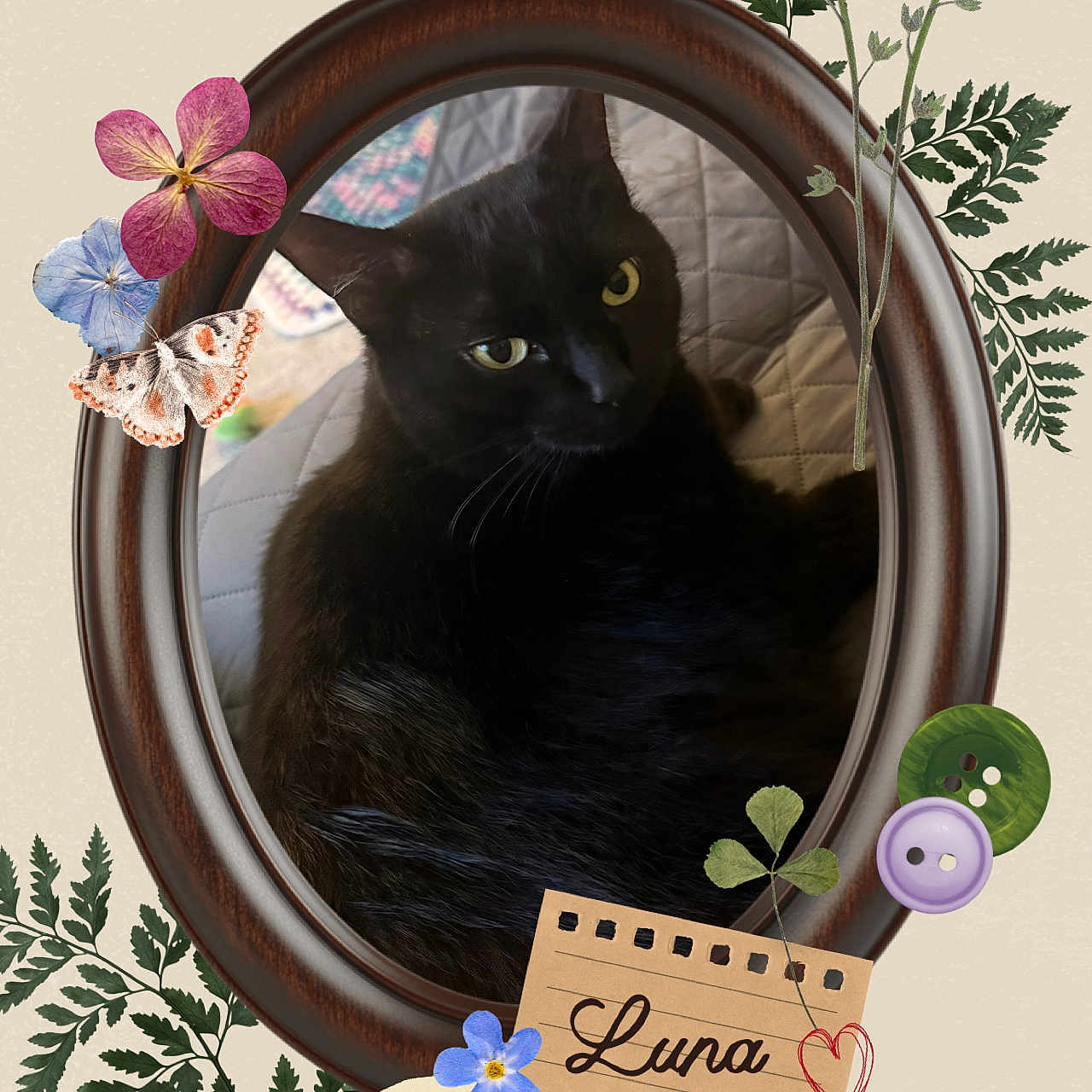 Luna