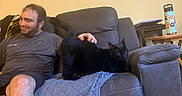 Luna is registered to the contest to win money with this photo: man, black_cat, couch, petting, indoor, relaxed, furniture, water_bottle, table, quilted_blanket, wooden_floor, shorts, tshirt, smiling, tail_up, domestic_cat, home, person, leisure, animal