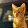 Oliver