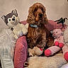 dog, plush_toy, armchair, pink_pillow, stuffed_animal, brown_dog, fluffy, pet, indoor, cozy, soft_texture, cushion, fur, home, cute, relaxed, seated, decor, comfort, animal