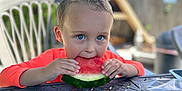 Andrew is registered to the contest to win money with this photo: child, boy, watermelon, fruit, eating, outdoor, table, chair, summer, food, happy, blue_eyes, orange_shirt, garden, daylight, fence, plastic_chair, snack, picnic, nature