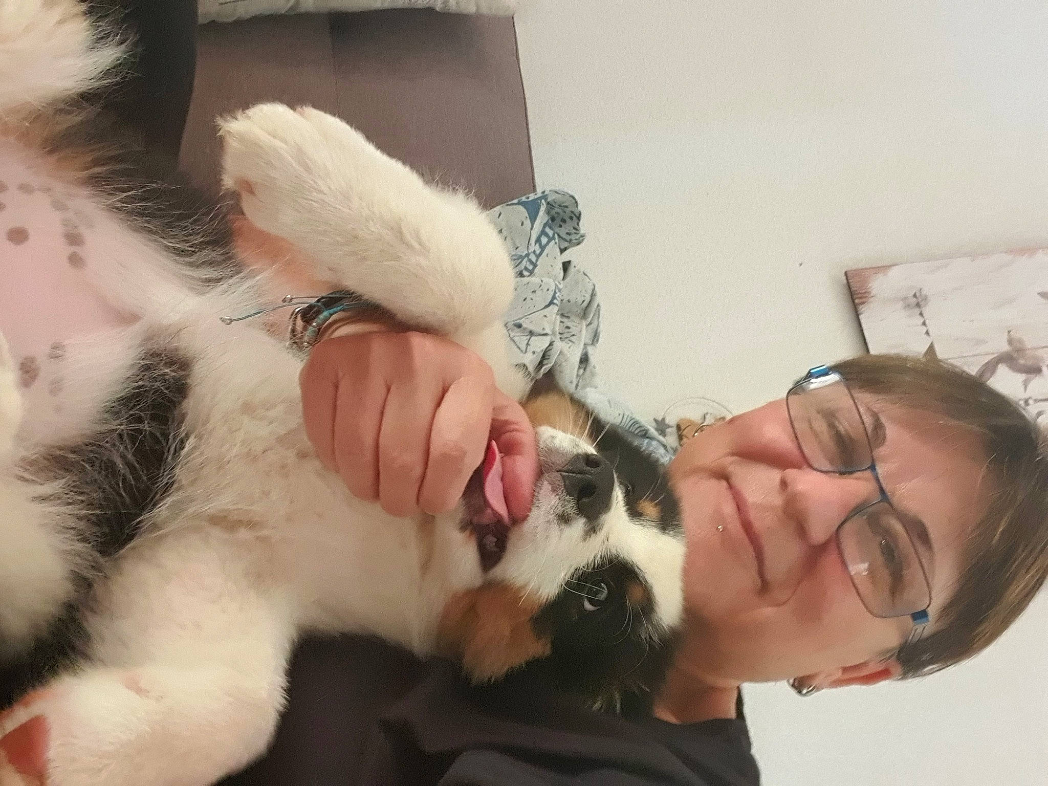 Sanka a rejoint le concours — aidez-le/la à gagner de superbes lots ! beard, carnivore, comfort, ear, eyebrow, eyelash, fawn, felidae, gesture, glasses, happy, head, human_body, jaw, leg, mammal, mouth, neck, nose, vertebrate