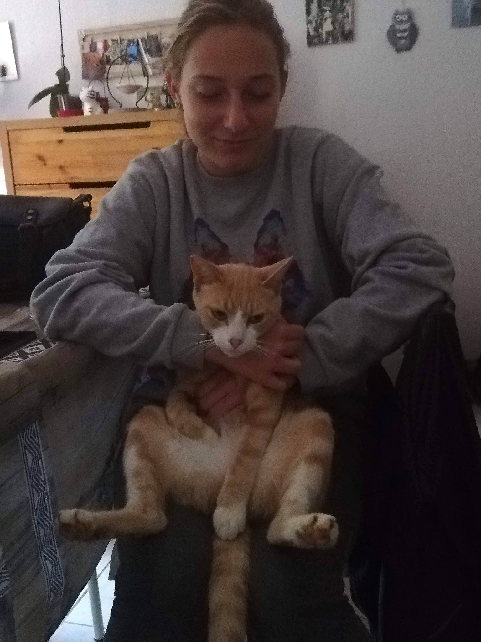 Koda participe au concours pour gagner de l'argent avec cette photo : aegean_cat, american_shorthair, asian, carnivore, cat, domestic_short_haired_cat, ear, european_shorthair, felidae, fur, german_rex, jaw, kitten, mouth, polydactyl_cat, sitting, small_to_medium_sized_cats, tabby_cat, whiskers