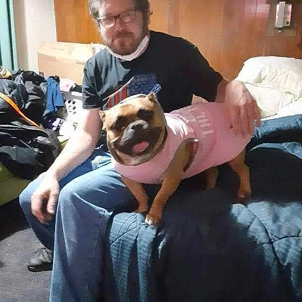 Haley joined the competition — help win amazing prizes! beard, bulldog, canidae, carnivore, comfort, companion_dog, couch, dog, dog_breed, eyewear, fawn, fun, glasses, lamp, picture_frame, sitting, sporting_group, t_shirt, toy_dog, vision_care