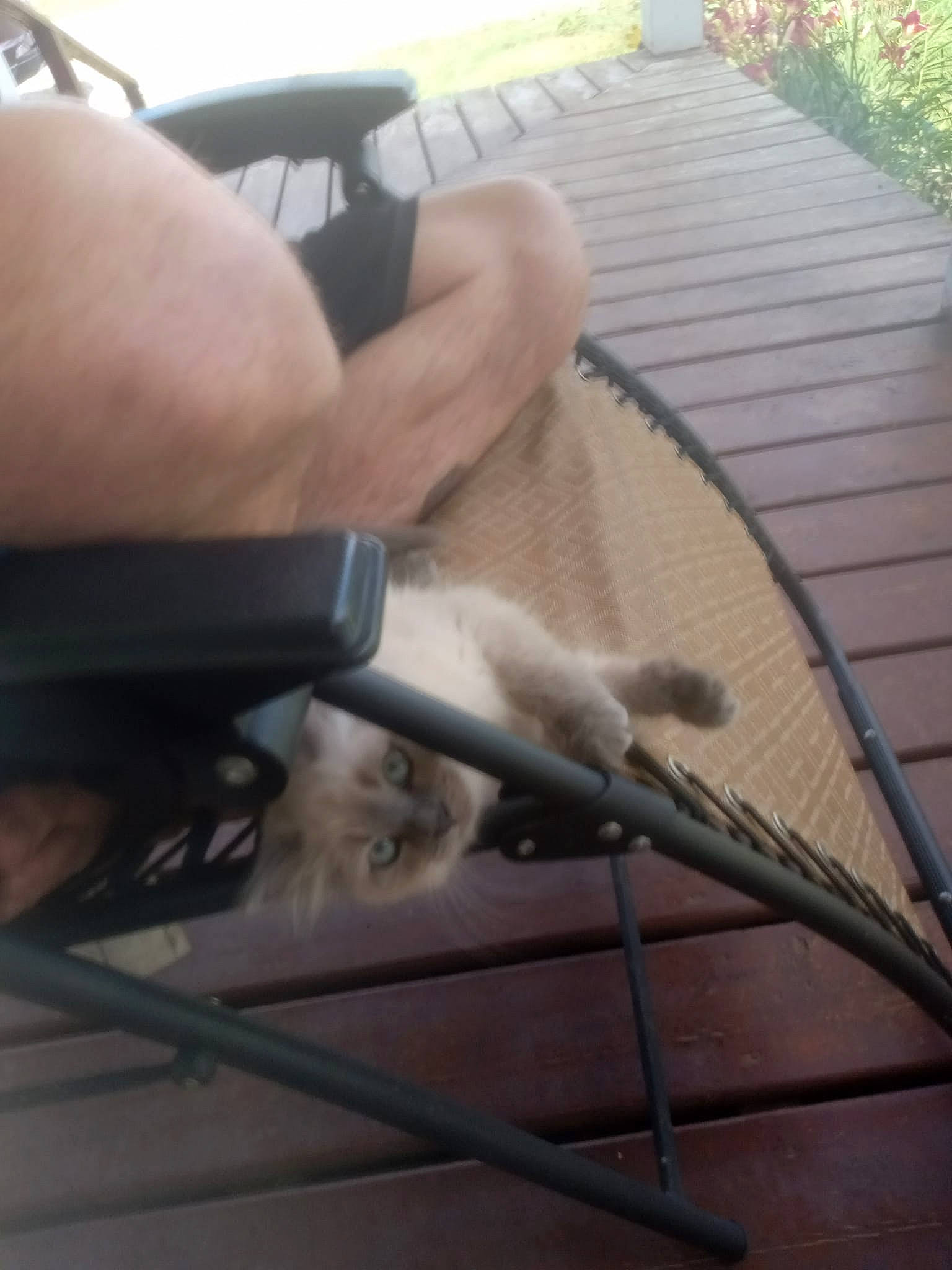 Alaska is registered to the contest to win money with this photo: automotive_exterior, automotive_mirror, automotive_tire, bicycle_handlebar, bicycle_part, bicycle_tire, bumper, eyewear, gesture, hardwood, metal, nail, outdoor_furniture, plant, table, thumb, windshield, wood, wood_stain, wrist