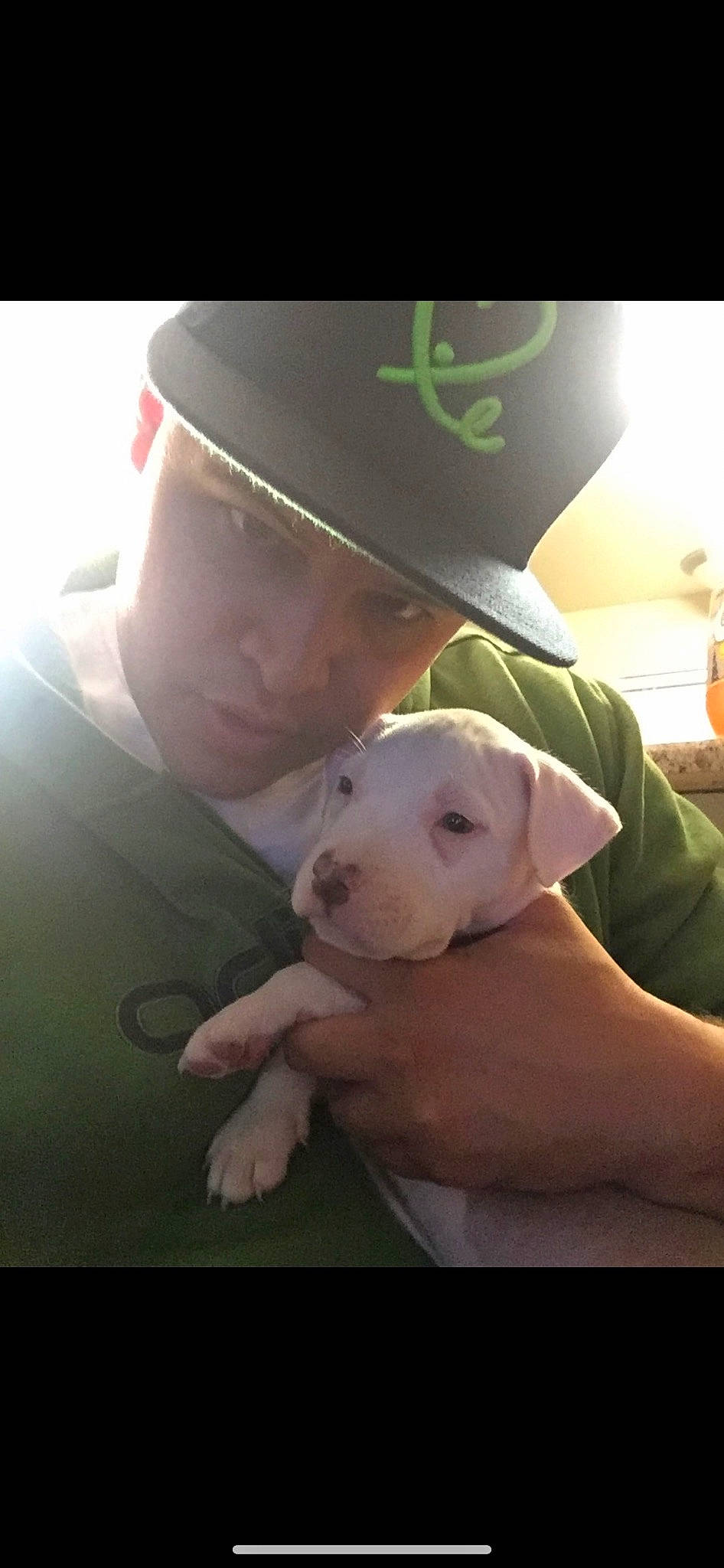 Dak is registered to the contest to win money with this photo: baseball_cap, cap, carnivore, child, companion_dog, cool, dog, dog_breed, dogo_argentino, ear, fashion_accessory, fawn, fedora, gesture, guard_dog, hat, puppy_love, selfie, suidae, t_shirt