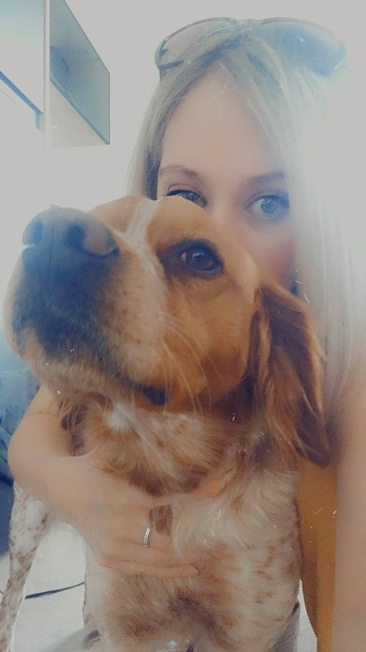 Malco a rejoint le concours — aidez-le/la à gagner de superbes lots ! beige, blond, brown, canidae, carnivore, cocker_spaniel, companion_dog, dog, dog_breed, fawn, fur, iris, liver, mammal, snout, spaniel, sporting_group, whiskers, working_animal, working_dog