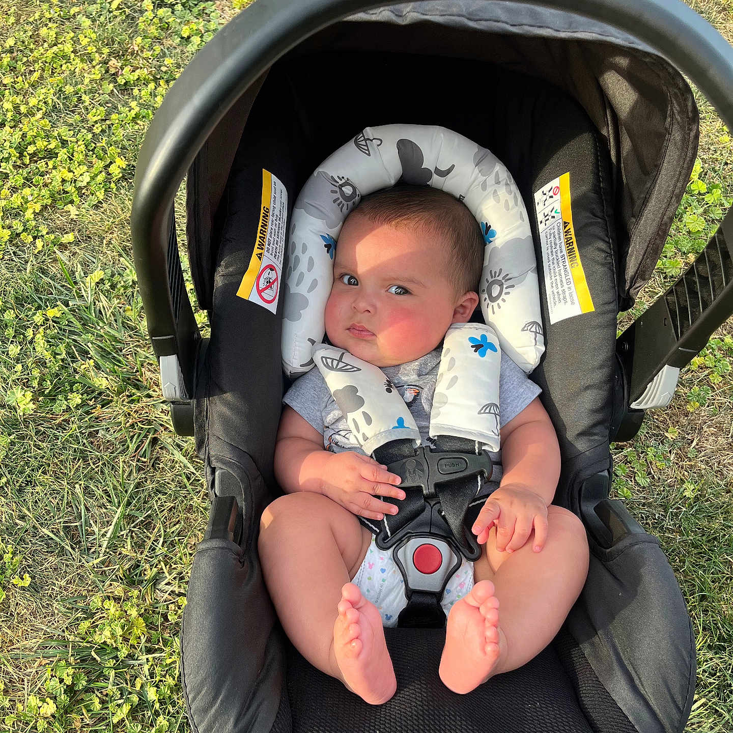 Brayan joined the competition — help win amazing prizes! baby, infant, child, car_seat, stroller, outdoor, grass, sunlight, portrait, face, eyes, sitting, harness, safety_strap, blanket, clothing, bare_feet, comfortable, daylight, photography
