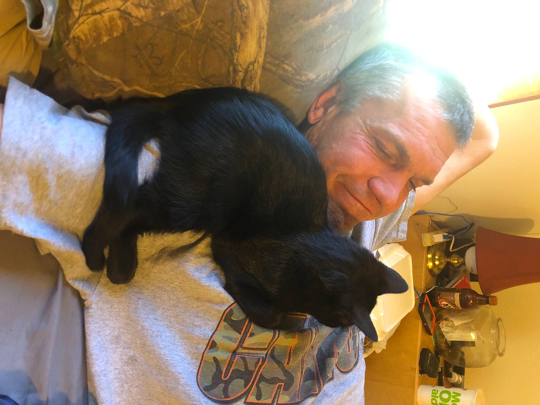 Toby joined the competition — help win amazing prizes! audio_equipment, canidae, comfort, companion_dog, dog_breed, domestic_short_haired_cat, facial_hair, fawn, felidae, fun, fur, lap, personal_protective_equipment, small_to_medium_sized_cats, smile, snout, sporting_group, tail, toy, whiskers