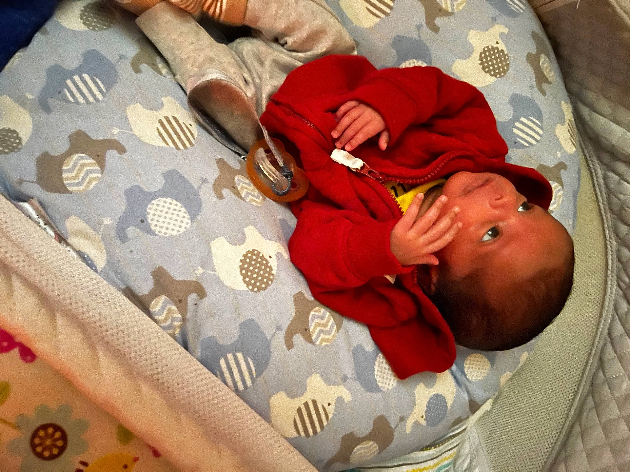 Gianni joined the competition — help win amazing prizes! baby, baby_products, baby_sleeping, baby_toddler_clothing, bed, bedding, bedtime, carmine, child, comfort, finger, hand, linens, nail, pattern, person, product, room, skin, sleeve