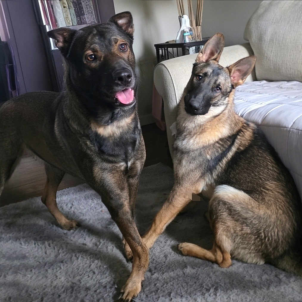 Riott And Zeek