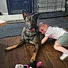 affection, child, dog, dog_crate, ear_up, fireplace, floor, furniture, happy, home, hugging, indoor, minnie_mouse, pet, playful, plush_toy, smiling, toddler, toy, wooden_floor