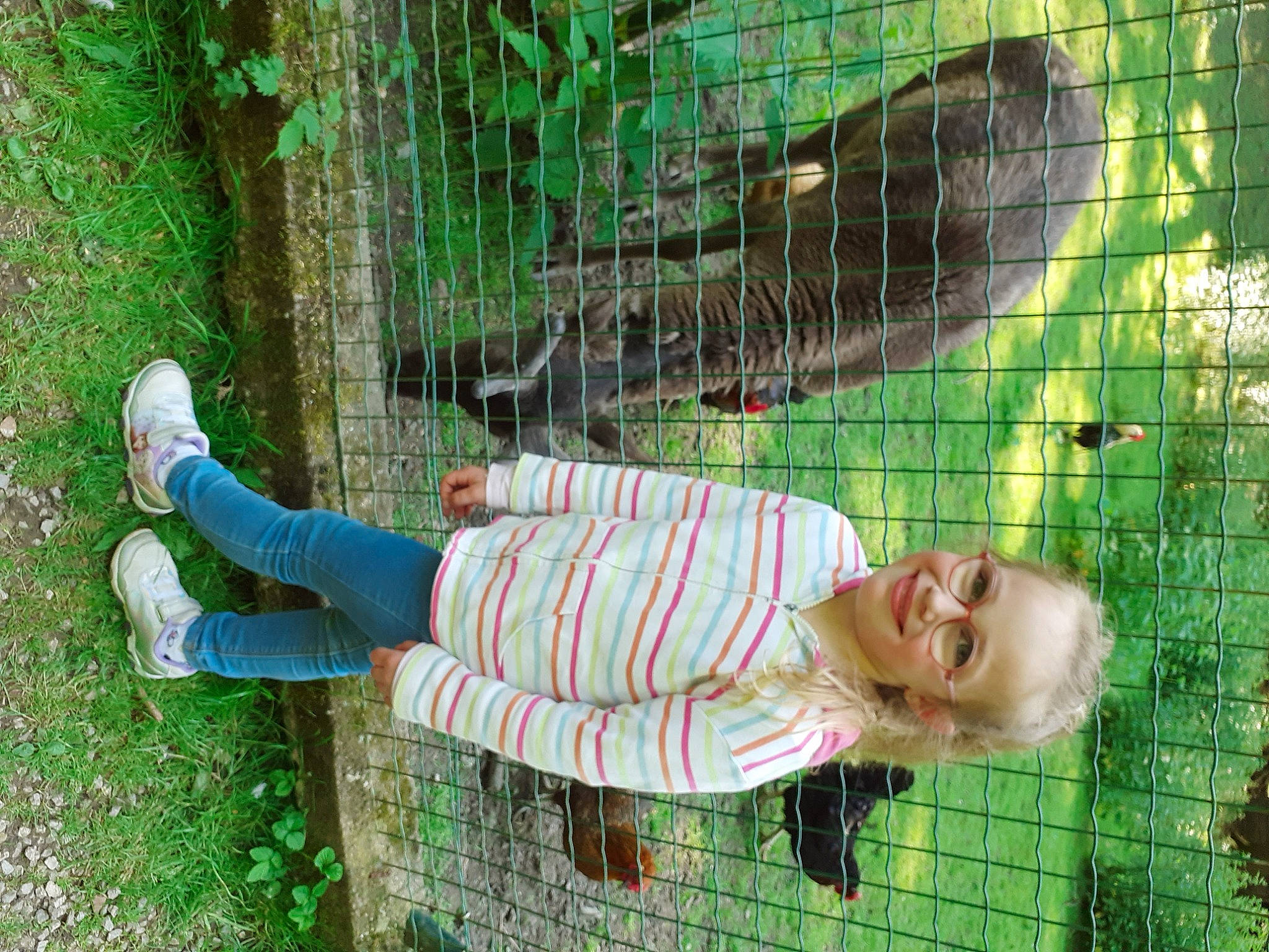 Lola participe au concours pour gagner de l'argent avec cette photo : animal_shelter, baby_toddler_clothing, cage, child, fence, fun, grass, grass_family, green, joy, leisure, mesh, net, pattern, people_in_nature, person, plant, recreation, smile, toddler