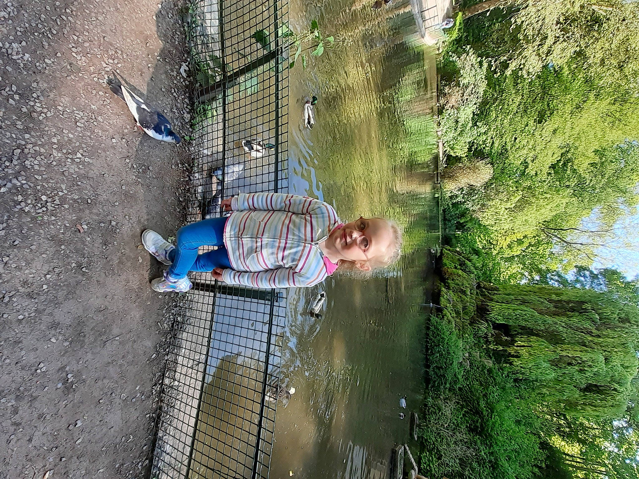 Lola participe au concours pour gagner de l'argent avec cette photo : adventure, concrete, fun, grass, landscape, leisure, people_in_nature, person, plant, recreation, reflection, rope, shadow, sky, soil, sport_climbing, toddler, tree, trunk, water